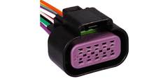 CONECTOR 10 VIAS PEDAL ACEL. VW/FORD CAR